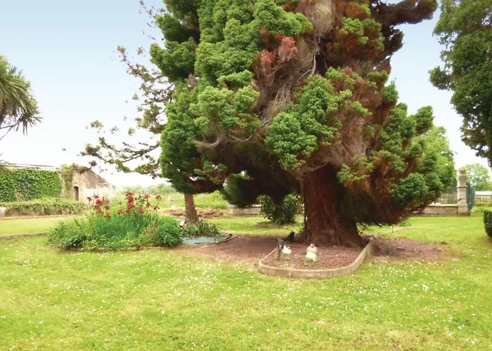 3 Bedroom Beautiful In